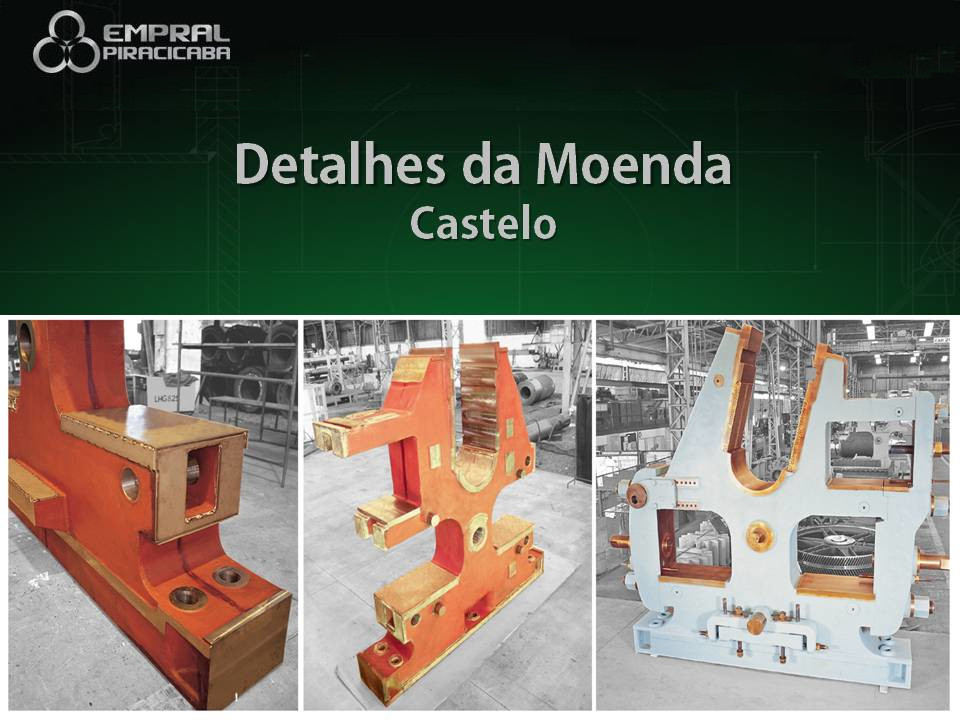 Seminário Brasileiro Agroindustrial - Slide 15