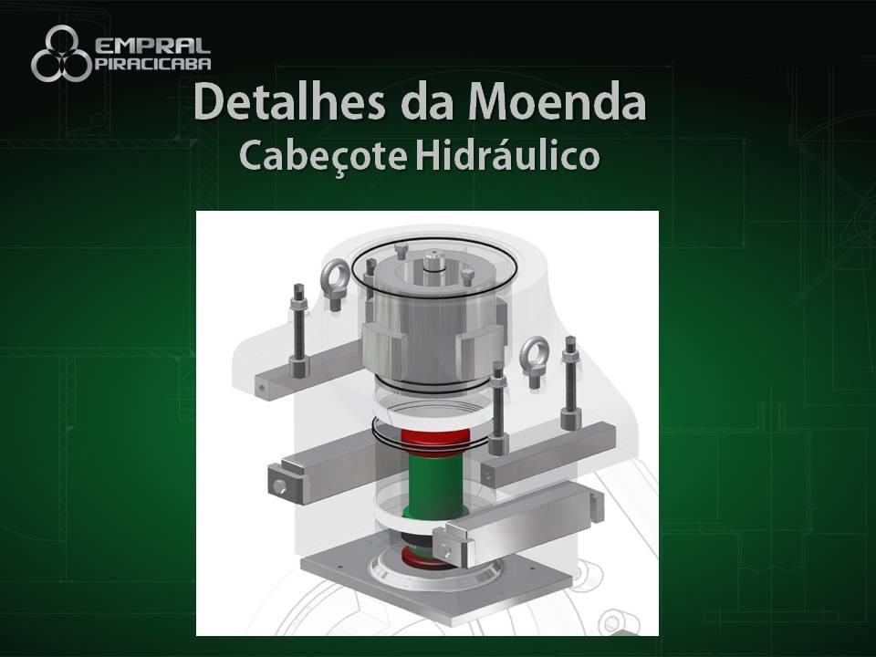 Seminário Brasileiro Agroindustrial - Slide 19