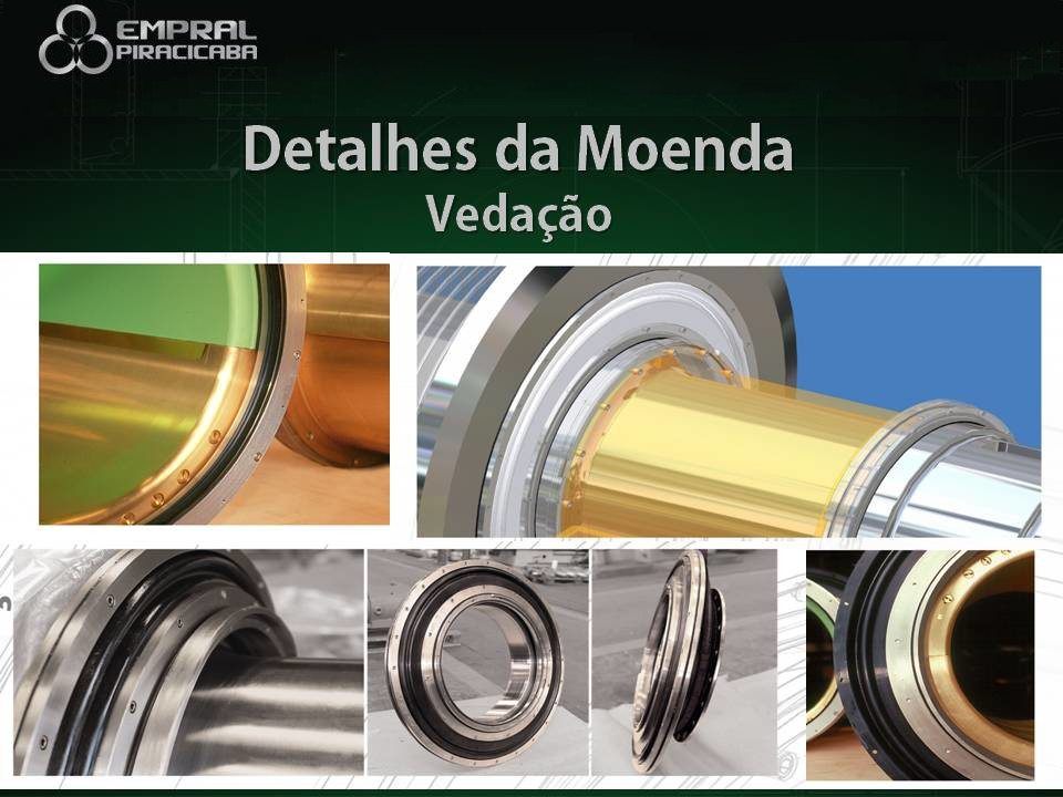 Seminário Brasileiro Agroindustrial - Slide 20